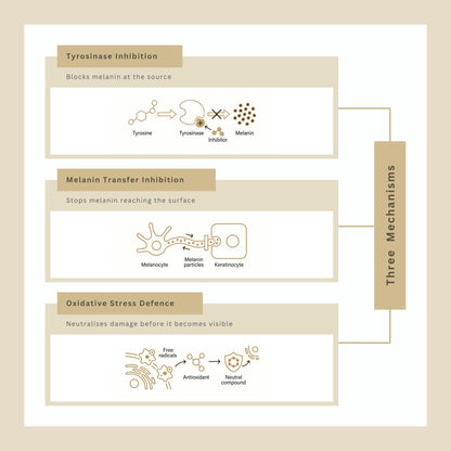Rayglow Gold - The Gold Standard in Skin Brightening
